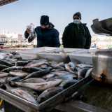 ...nei pressi dell�attuale mercato del pesce 